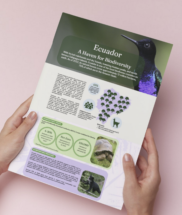 Brochure mockup