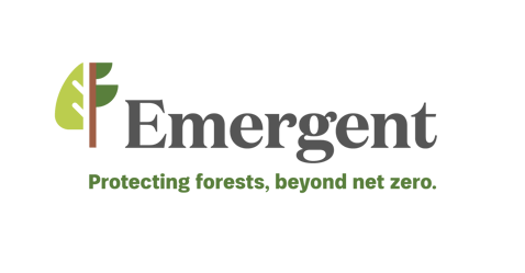COLLECTION_EMERGENT_LOGO_MASTER_RGB