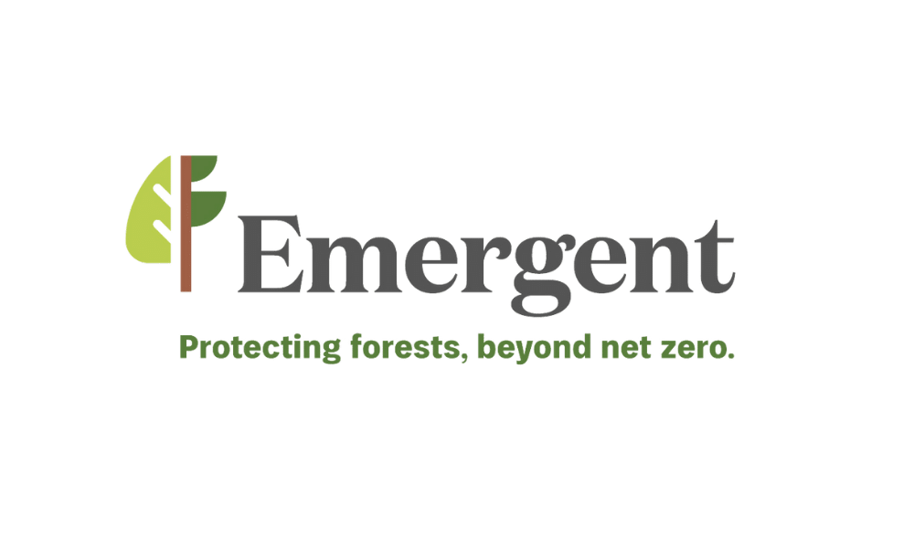 Emergent-1
