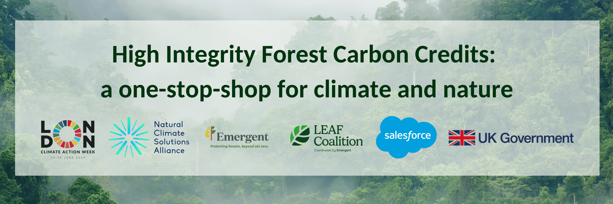 LCAW article banner LCAW article banner