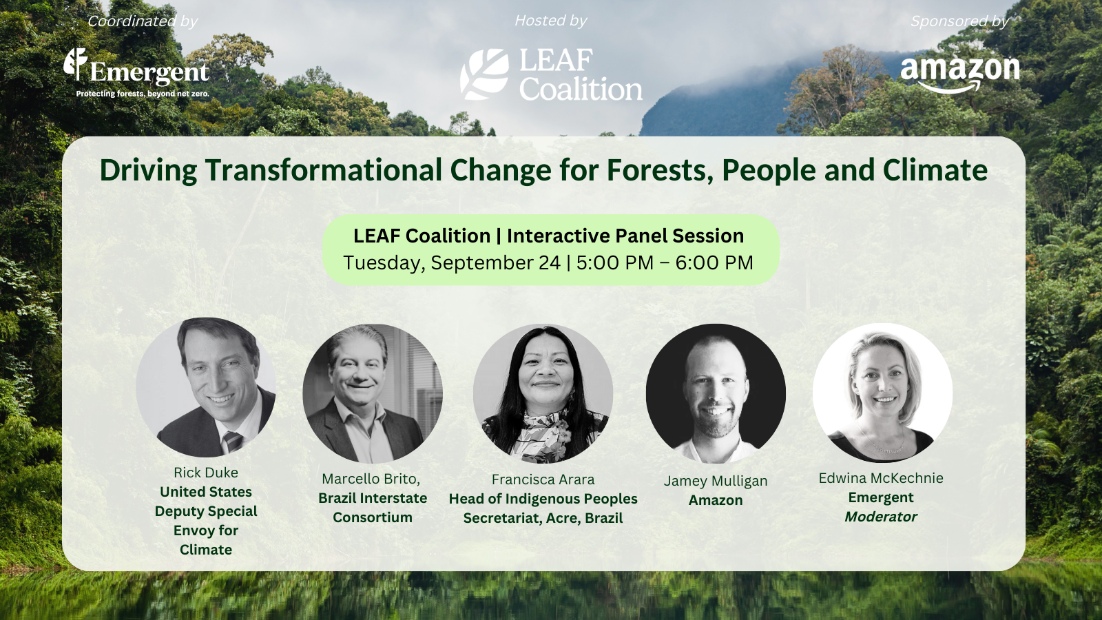 LEAF Interactive Panel