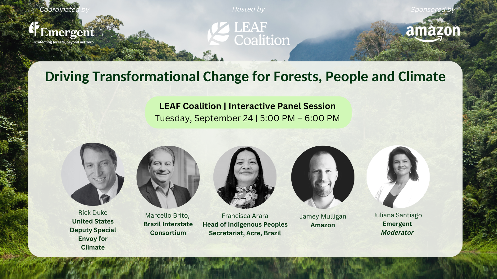 Driving Transformation Change for Forests, People and Climate LEAF Coalition  Interactive Panel Session Tuesday, September 24  500 PM – 600 PM (2)