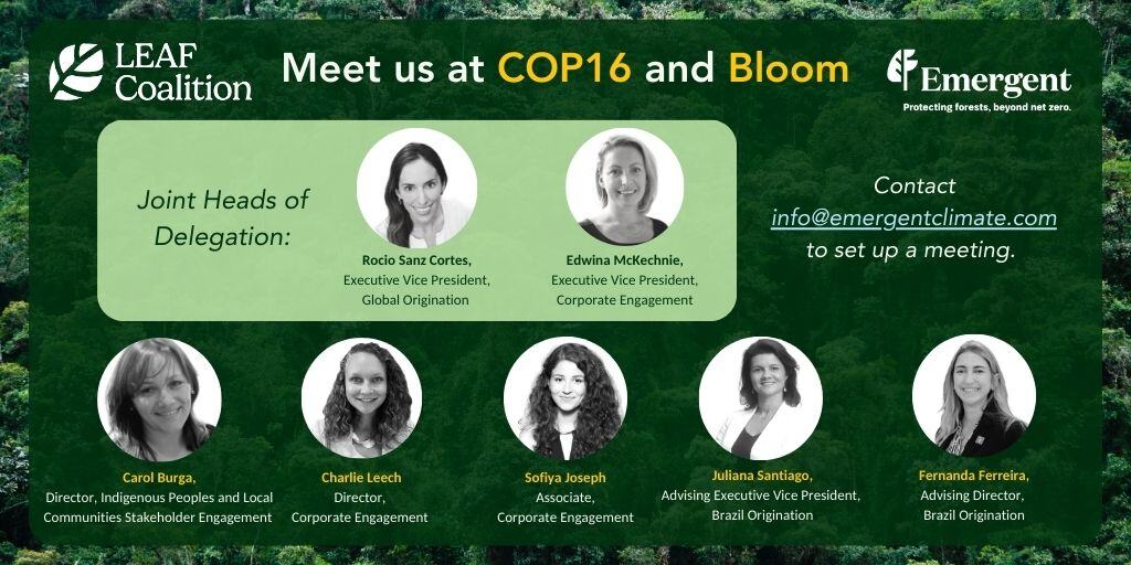 Emergent at COP16 and Bloom Emergent at COP16 and Bloom