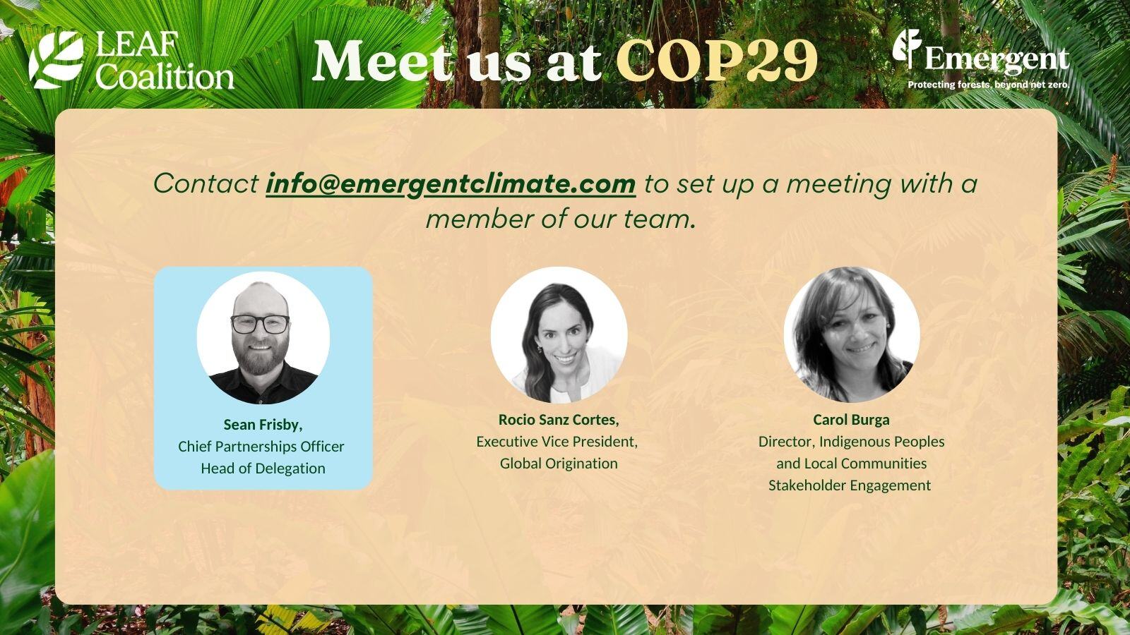 Emergent at COP29-1