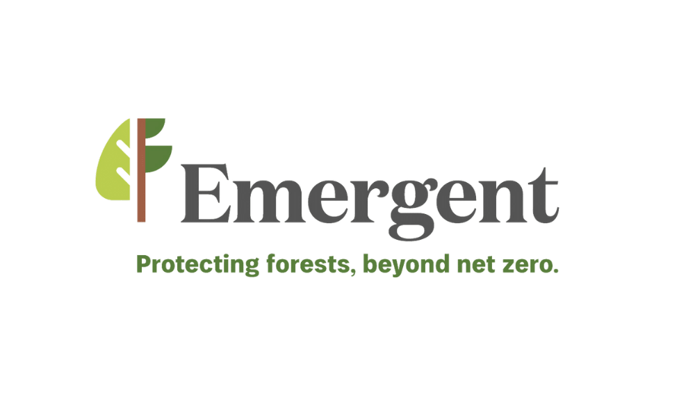 Emergent logo