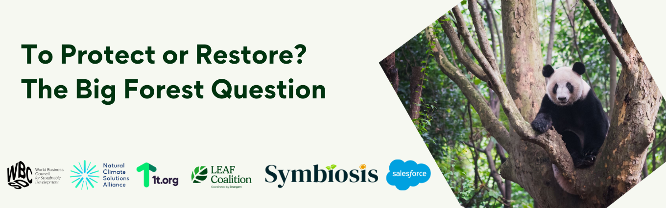 Protect and restore -1 Protect and restore -1